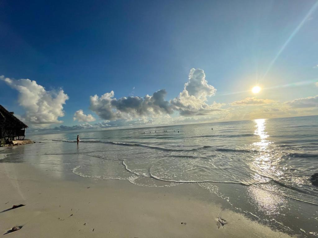 Jambo Beach Hotel Paje Eksteriør billede